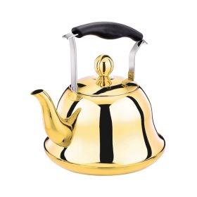 Stainless Steel Whistling Kettle Tea Kettle (Color: Titanium)
